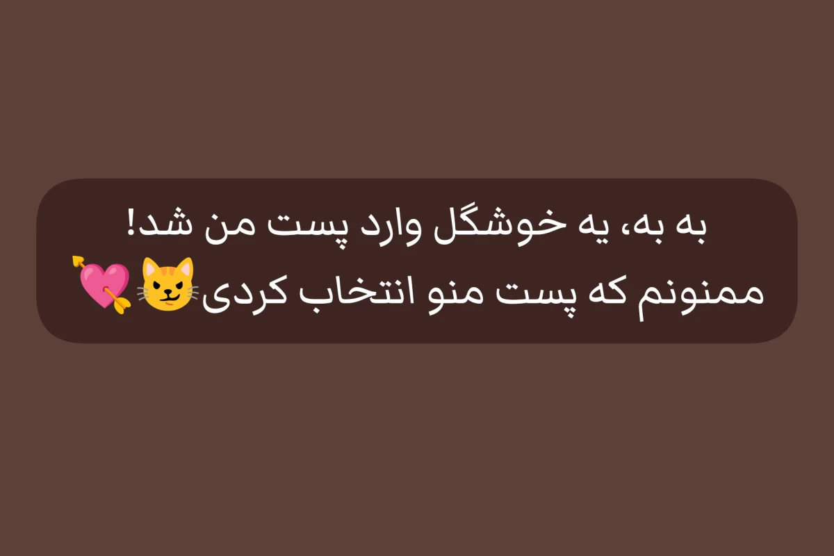 عکس میگی گشتن نداره!