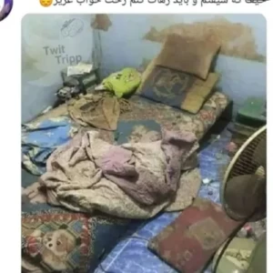 کاور