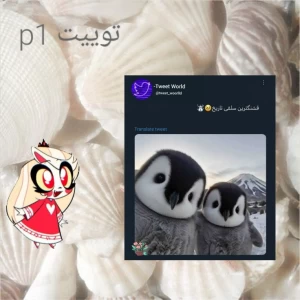 کاور