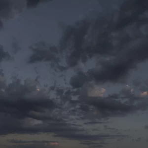 کاور