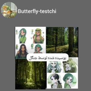 کاور