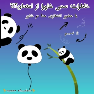 کاور