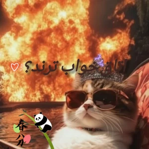 کاور