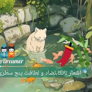 کاور