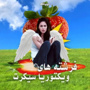 کاور