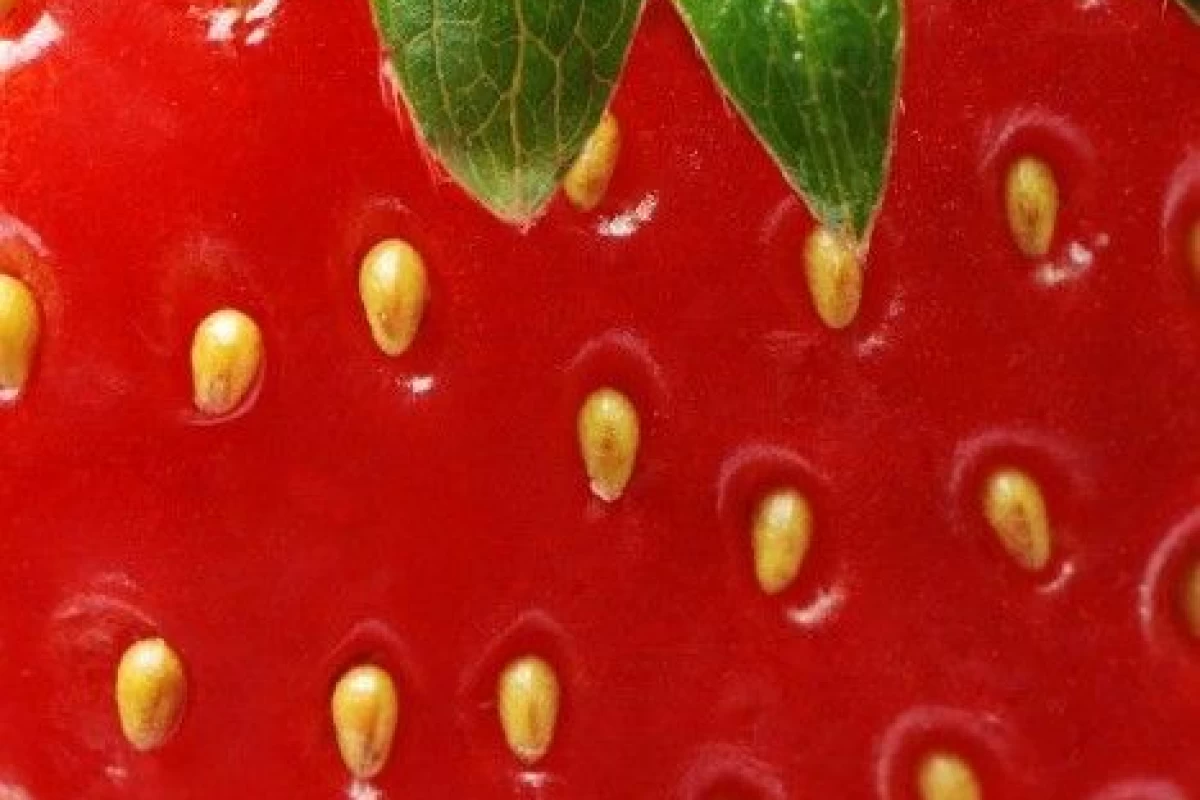 عکس فرشته های ویکتوریا سیکرت