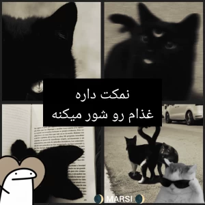 کاور