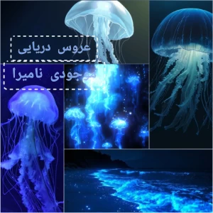 کاور