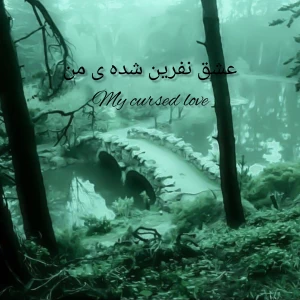 کاور