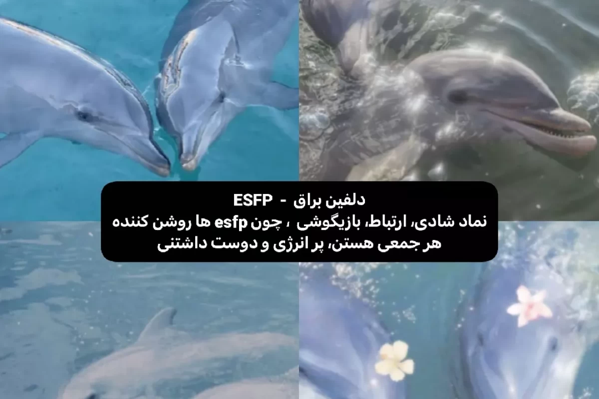 عکس بریم ببینیم پاترونست بر اساس تایپت چیه