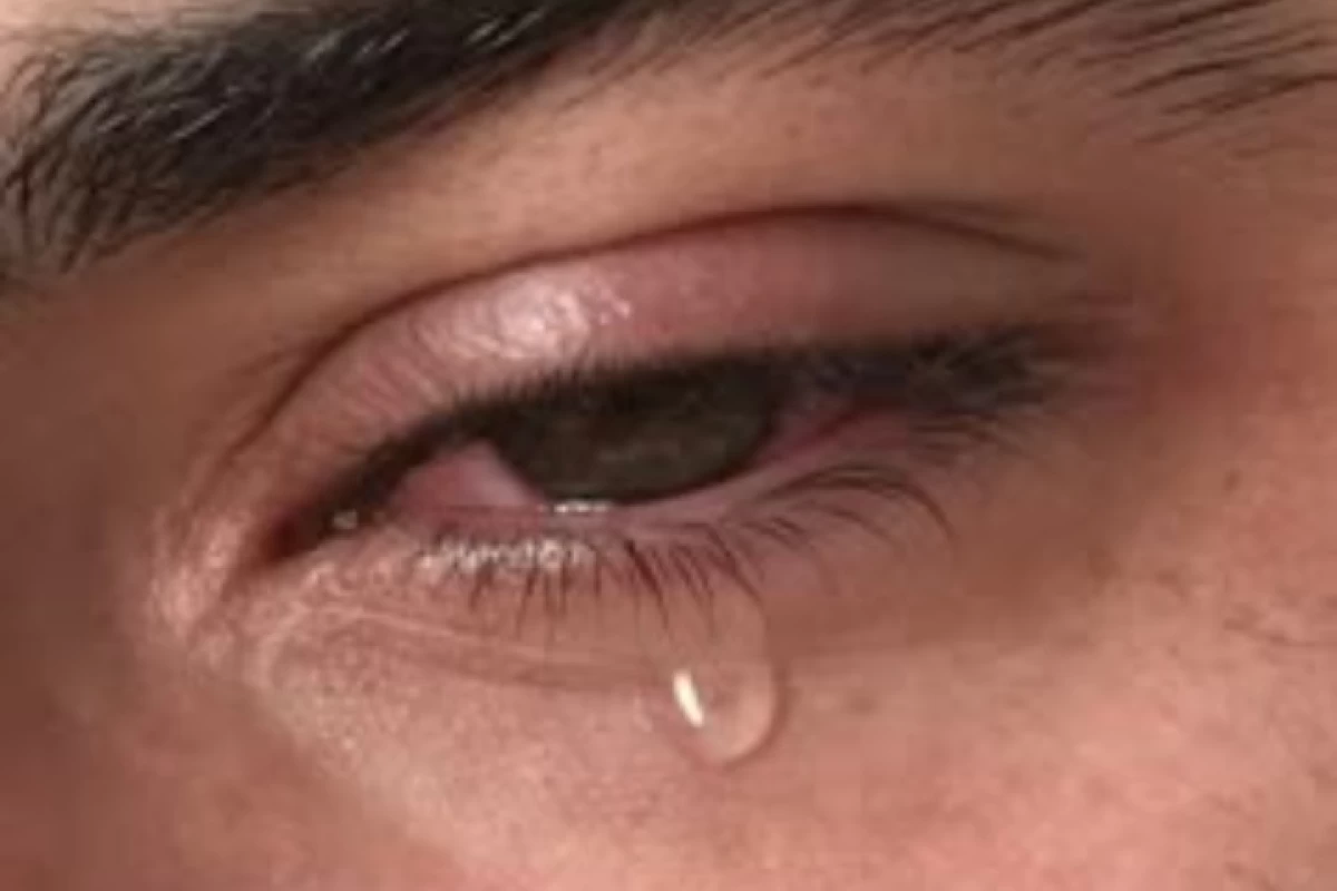 عکس چشم هایی که دیدند..