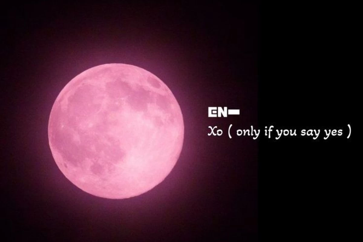 عکس "𝑾𝒉𝒐 𝒊𝒔 "𝑭𝒍𝒐𝒓𝒆𝒏𝒄`