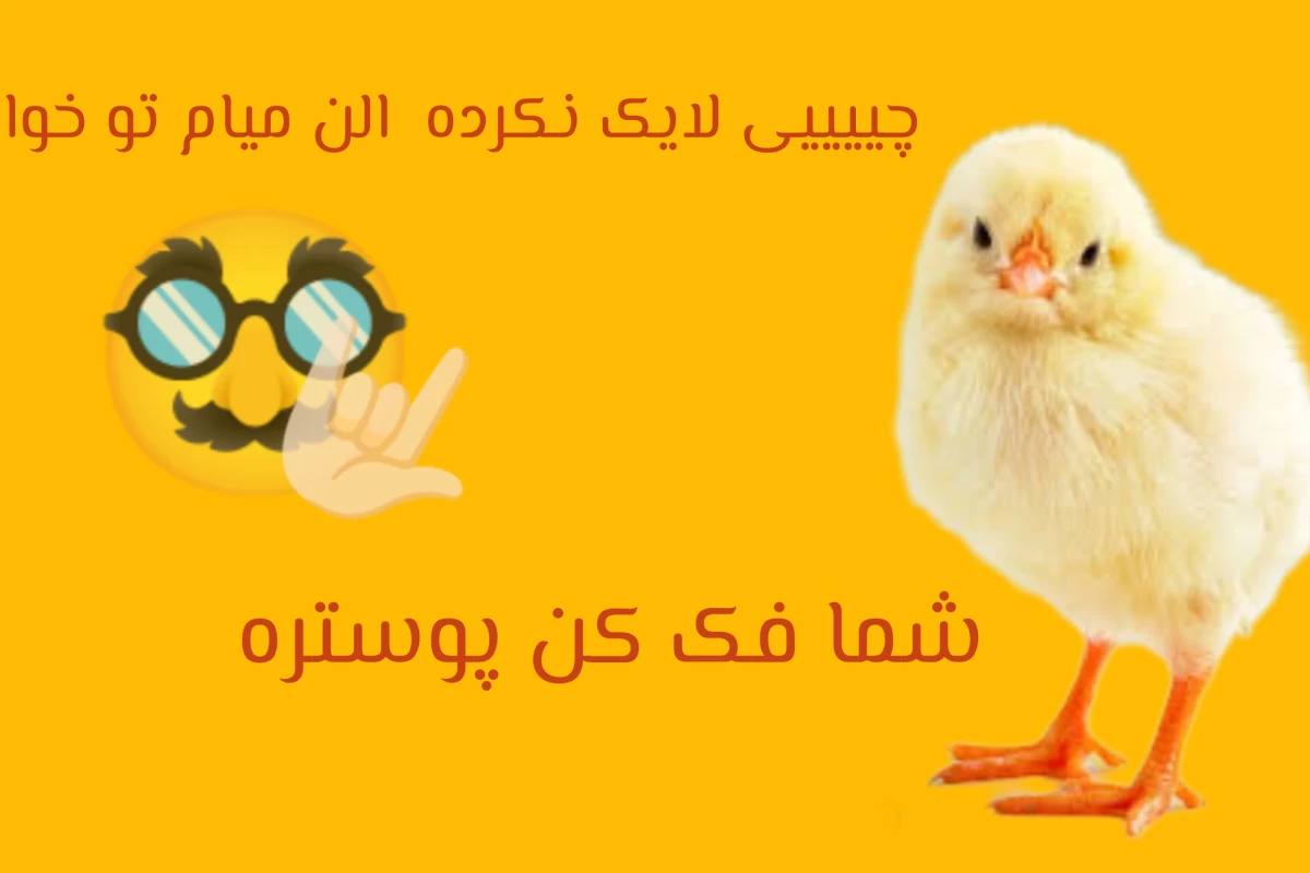 عکس معرفی رمان های مناسب من و تو