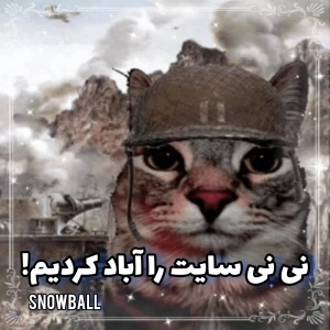 کاور