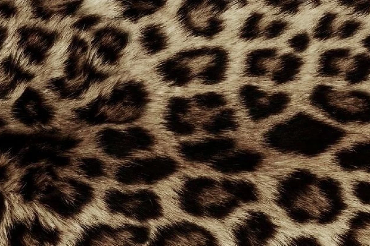 عکس 𝗁𝖺𝗇𝖺$@