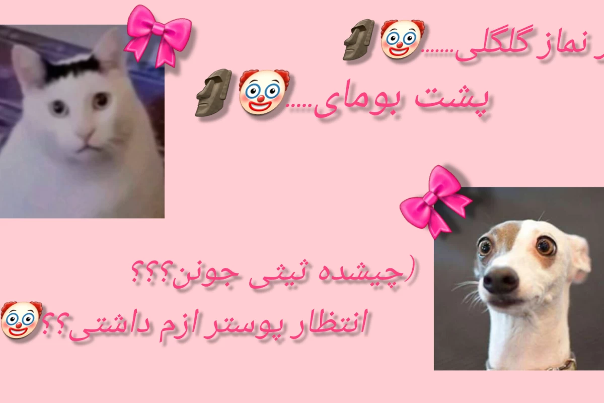 عکس هی x چرا گریه میکنی؟؟؟🪷🦋