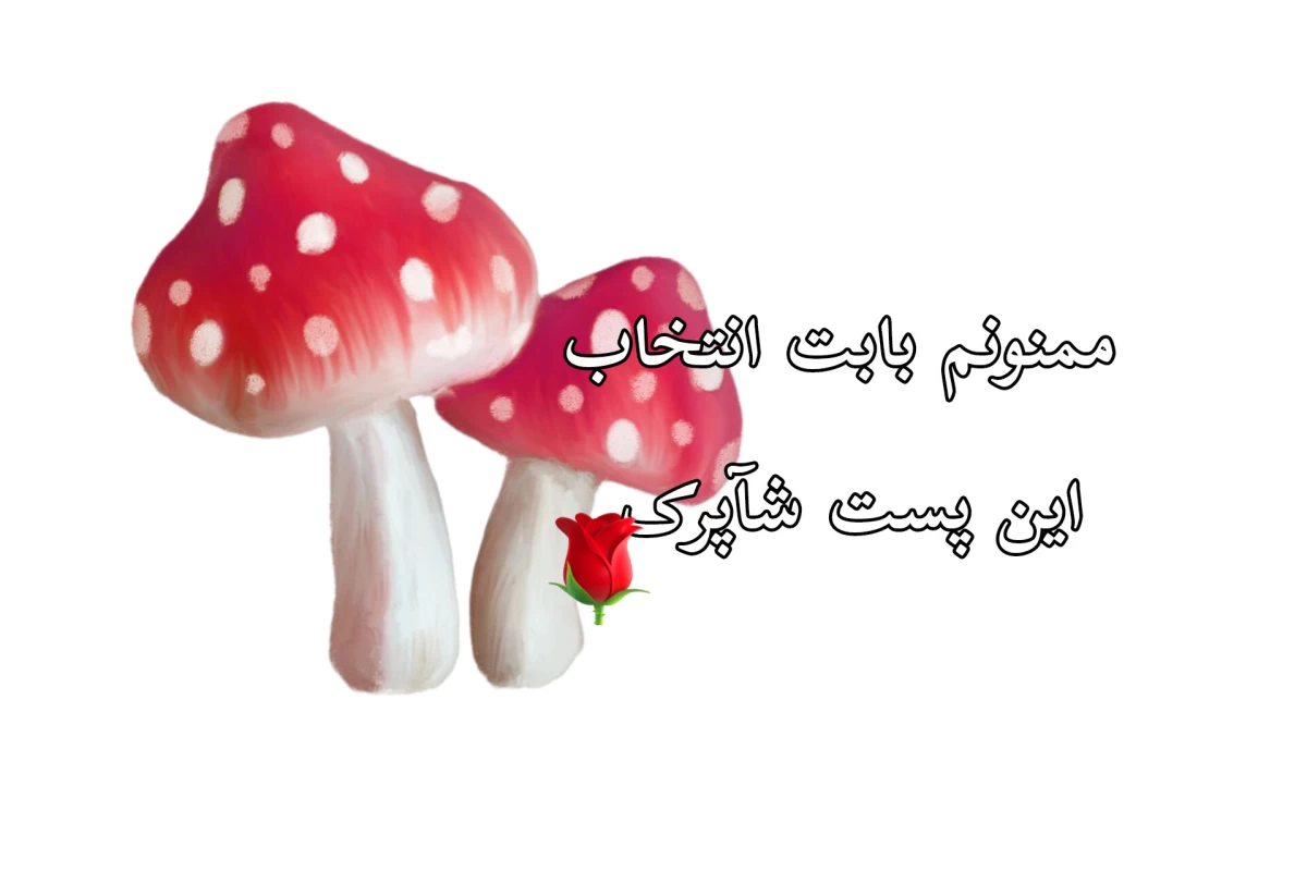 عکس بازی مین‌روب