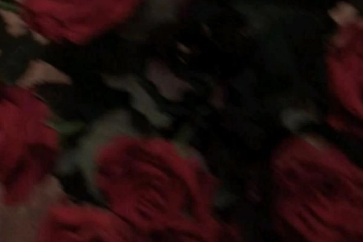 عکس آره عزیزم من همون آهنگم (بلک پینک ver)