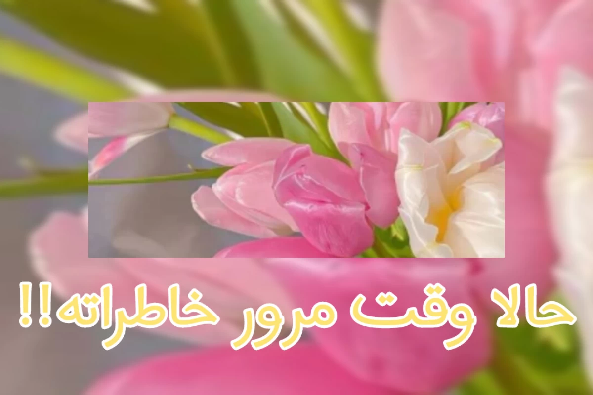 عکس شاید روزی من، شاید زمانی تو !
