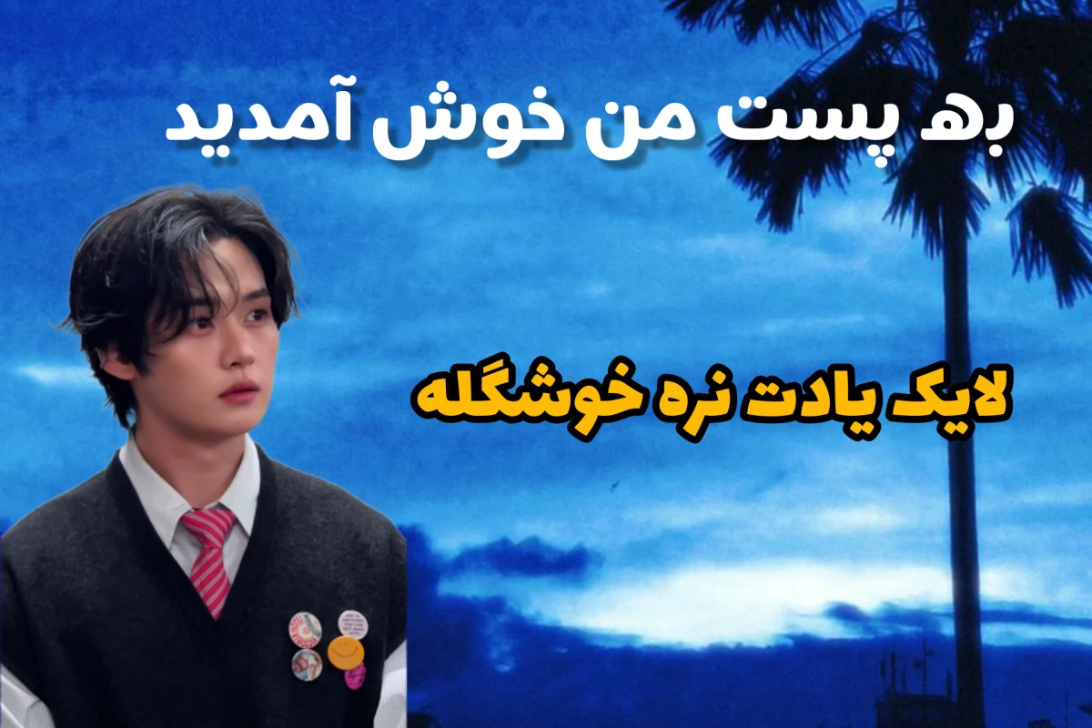 عکس دسته بندی کیپاپرها؛