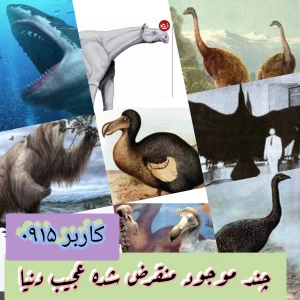 کاور