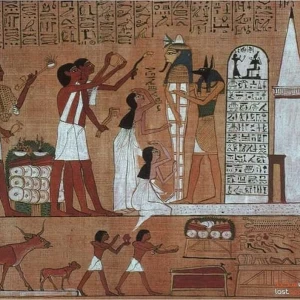 کاور