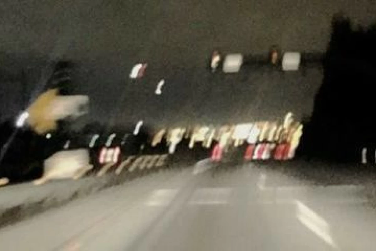 عکس گوشه ای از هنرنمایی‌هام