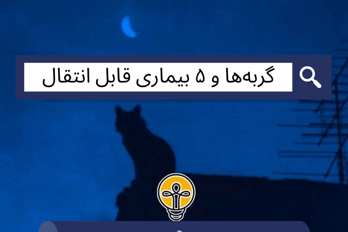 عکس گربه‌ها و ۵ بیماری قابل انتقال