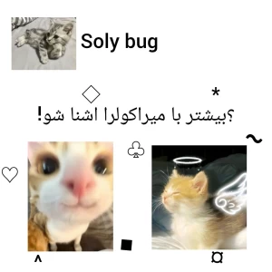 کاور