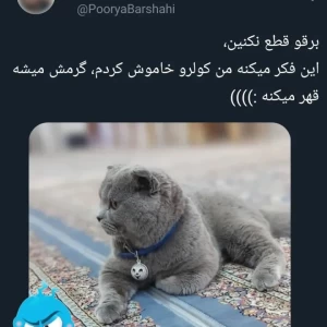 کاور