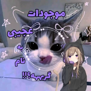 کاور