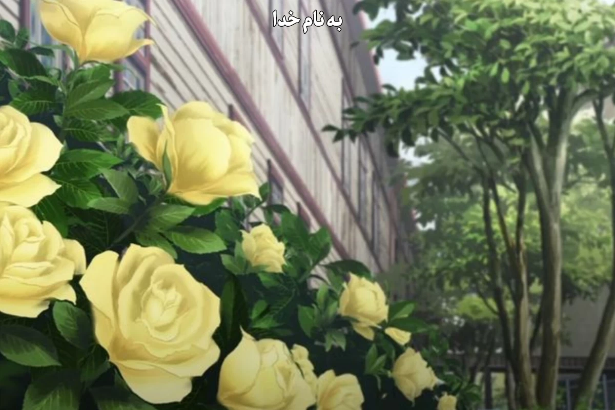 عکس به عنوان شعر