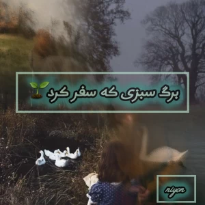 کاور