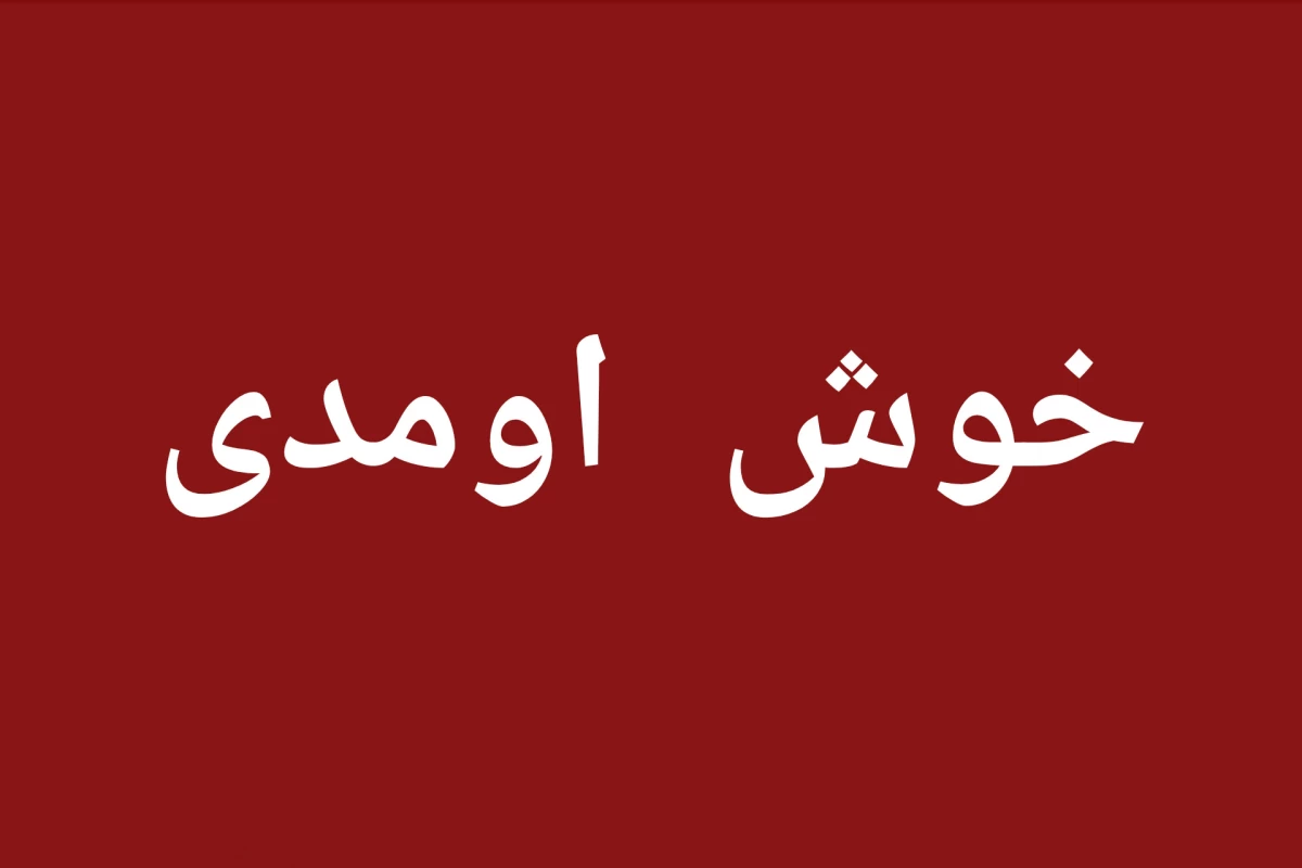 عکس دکوری ی توت فرنگی