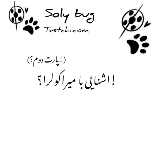 کاور