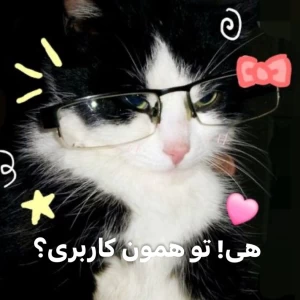 کاور