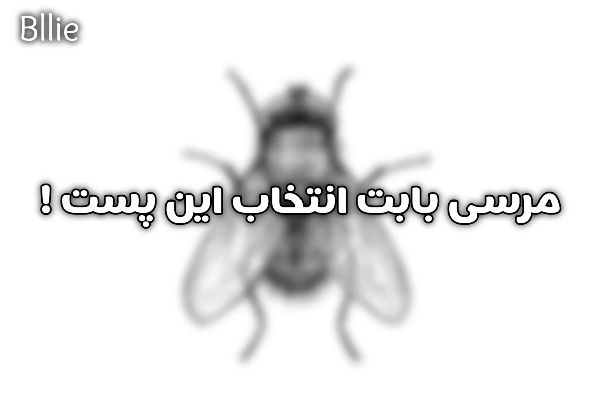 عکس چرا مگس مدام دست‌هایش را به‌هم می‌مالد!
