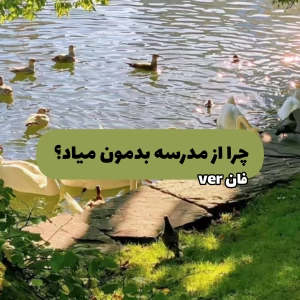 کاور