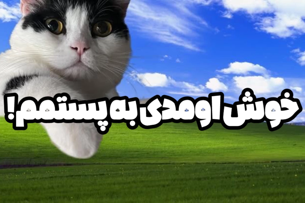 عکس این‌کتابو‌بهت‌پیشنها‌د‌میدم!