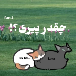 کاور