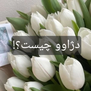 کاور