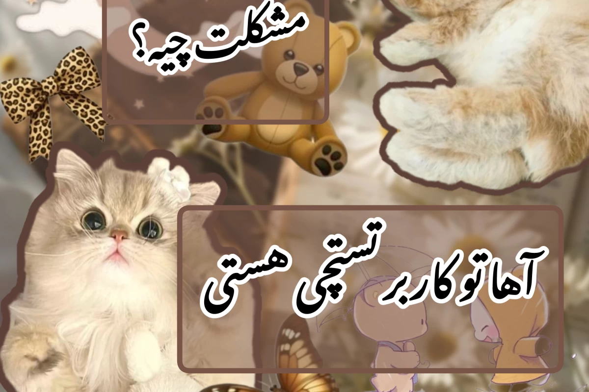 عکس مشکلت چیه؟ اها تو کاربر تستچی هستی
