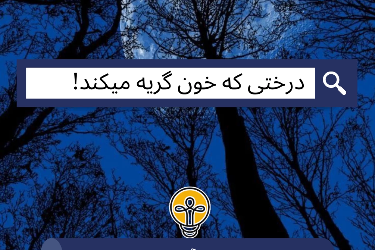 عکس درختی که خون گریه می کند!