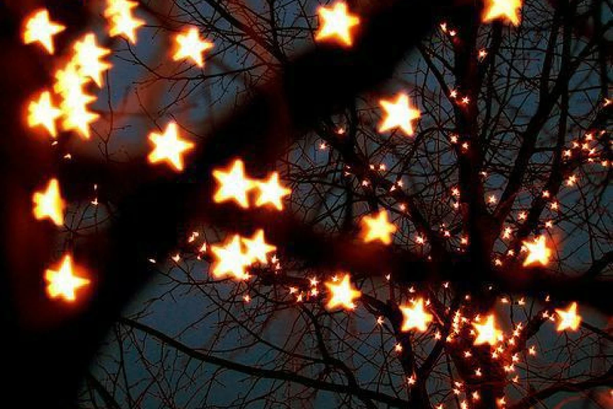 عکس "ستارگان بخت ما★"