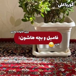کاور