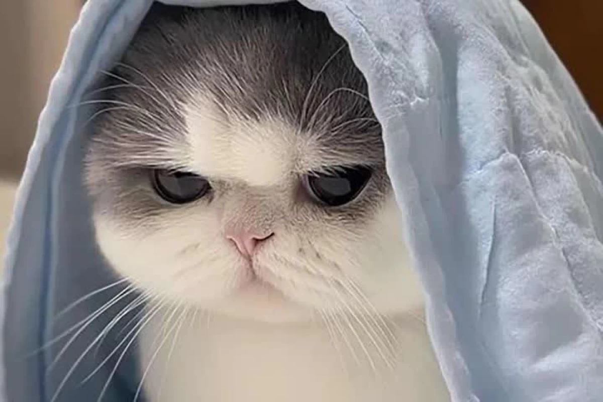 عکس مود تو وقتی... (ورژن مدرسه)