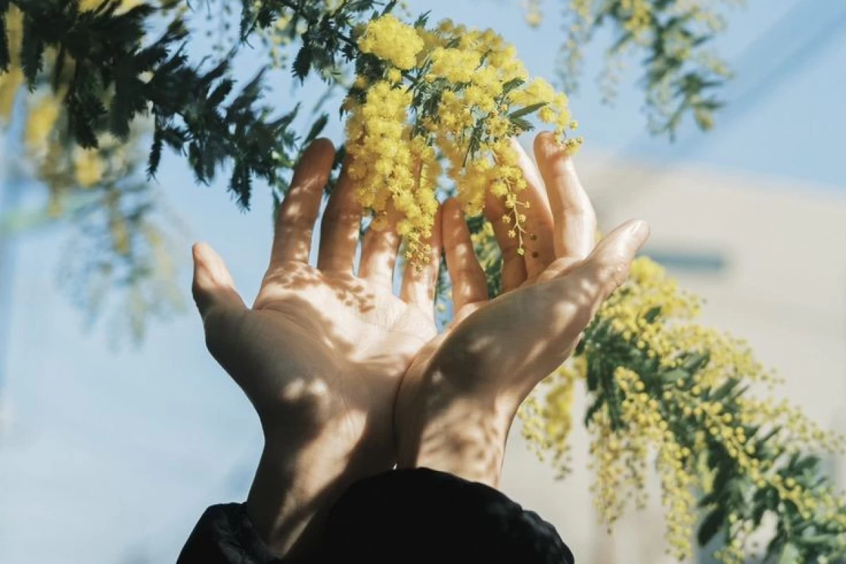 عکس شعری برای گوشی شنونده