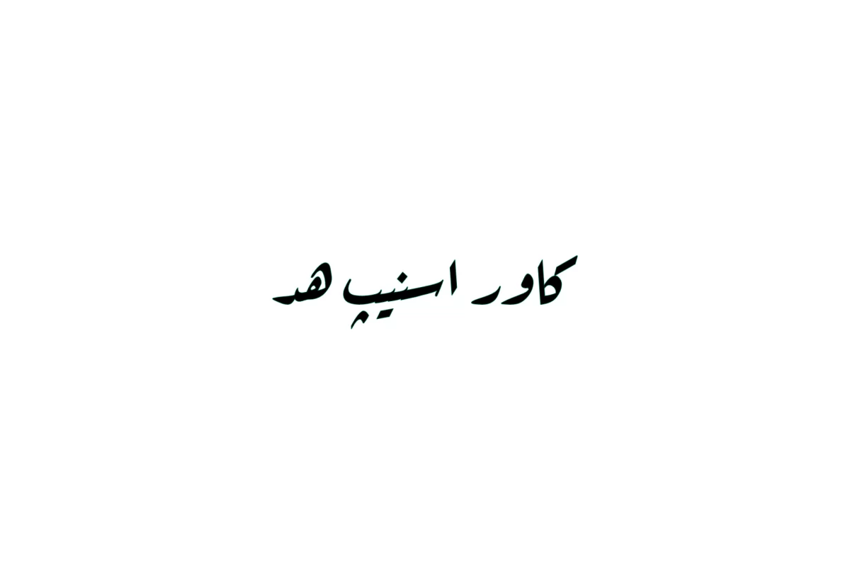 عکس 🔥خاکستری از میان شعله ها!/جانوران دنیای هری پاتر ch2