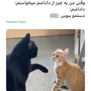 کاور