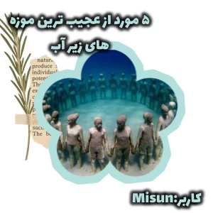 کاور